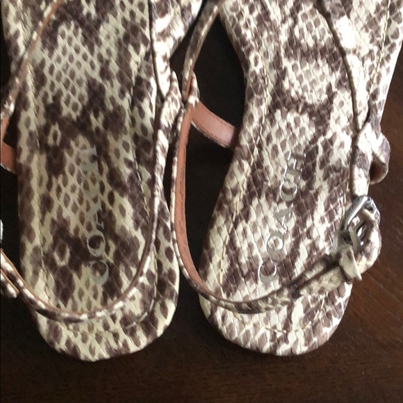 🌟COACH Thong Sandal🌟 - Picture 8 of 9